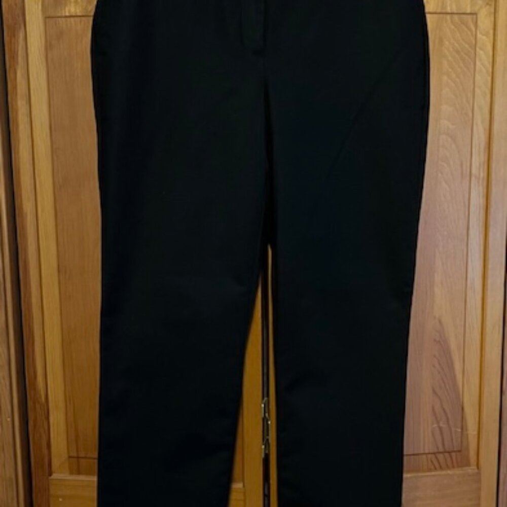 Ann Taylor Dress Slacks